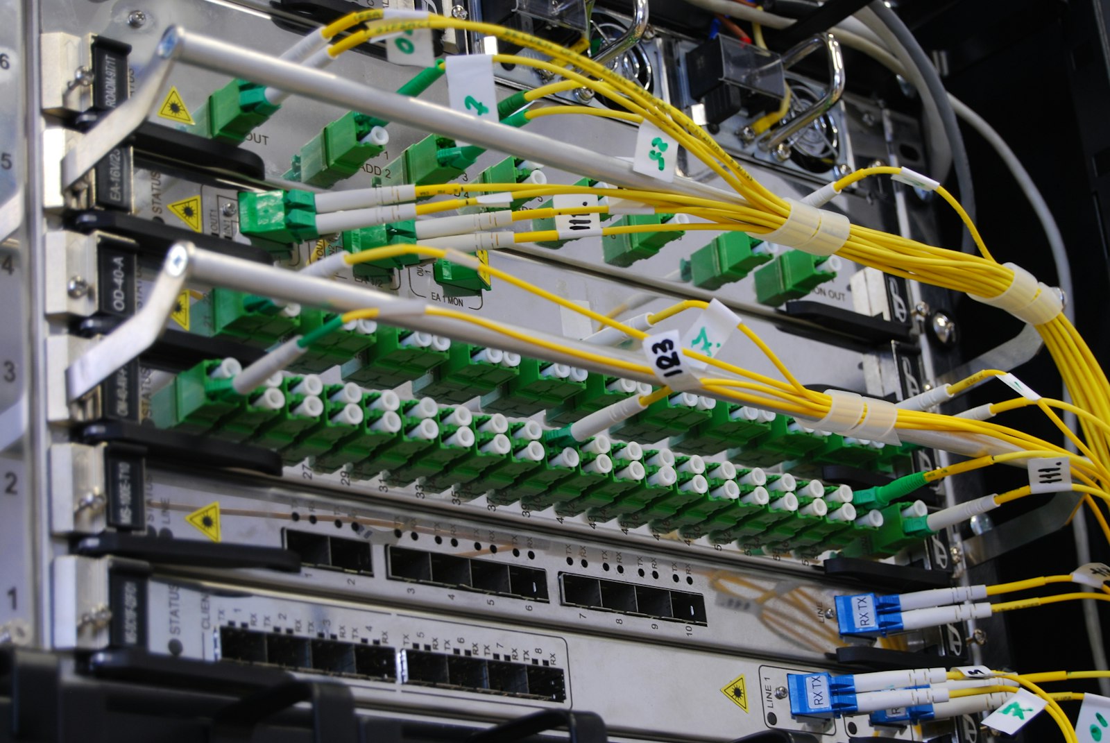 Network & Server Management